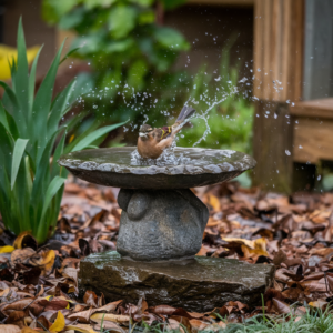 Warming Bird Baths