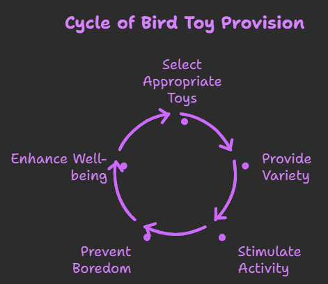 Types of Bird Toys