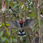 Why Do Birds Flap Their Wings Without Flying?